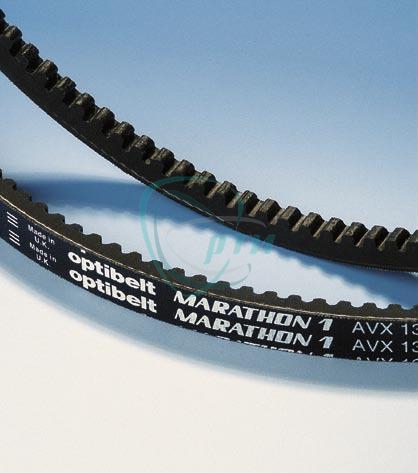 Ремень 1600 (AVX 13) зуб.