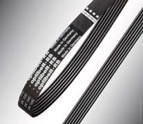 яяРемень 2615 (поликлин.)