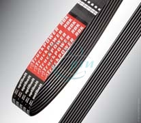 Ремень 1614 (поликлин.) TruckPOWER