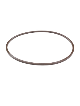 Прокладка(кольцо) водяного насоса SILICON, коричневый / КАМАЗ 20018 FPM