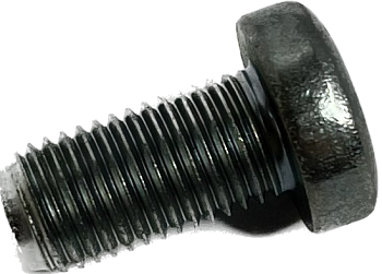 Винт крепления задних петель н/о для автомобиля Г-ль Бизнес.BULTEN