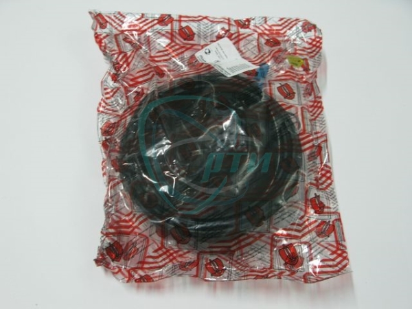 Р/к тормозной камеры с энергоаккумулятором КамАЗ тип 20 (уплотнители с пласт. и трубкой к-т 10 наим)