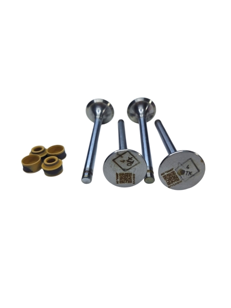 Клапана выпускные дв. 511,513,523,524 ОРИГИНАЛ (к-т с м/с колпачками) ФАРЕР