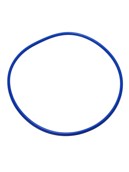 Кольцо бортовое уплотнительное 250-260-58-2-2 (силикон, синий)