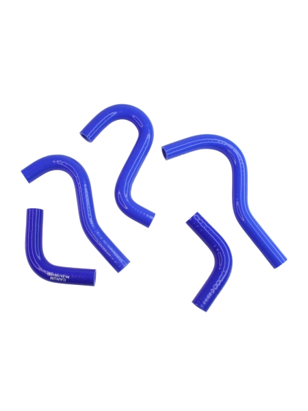 Патрубки отопителя Г-ль "Бизнес" дв.4216 силикон (5 шт.) CARUM