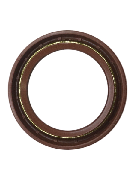 Сальник ТНВД вала КамАЗ Евро 25х35х5/5,5 (фтор)