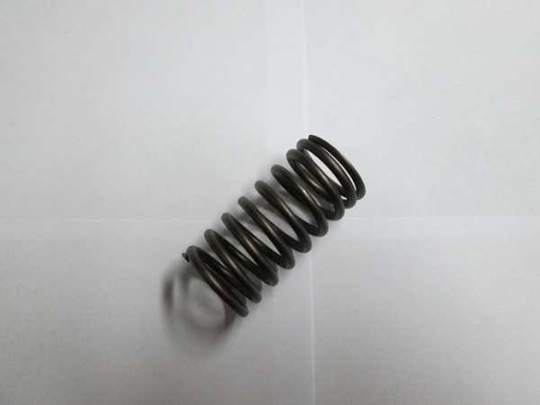 Пружина клапана внутренняя ГАЗель дв.УМЗ-А274 EvoTech, 