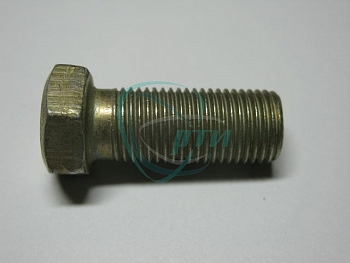 Болт М12х1,25х30 звездочки распред. вала В-га, Г-ль