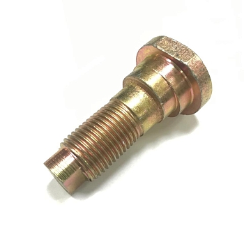 Палец эксцентриковый тормозных колодок Г-3307, 4301