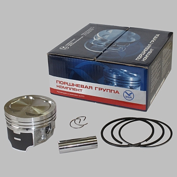 Поршень (Molykote) 95,5 4052,40522 дв. (палец, стопорные и поршневые кольца)