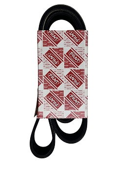 Ремень 1445 (поликлин) 8PK генератора КАМАЗ 4308 дв.CUMMINS PRAVT