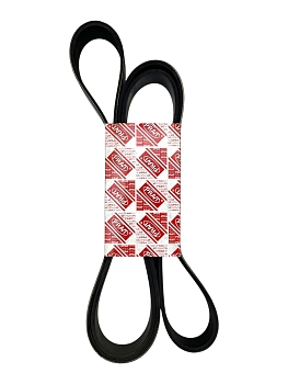 Ремень 2135 (поликлин) 8PK КАМАЗ 54901 PRAVT